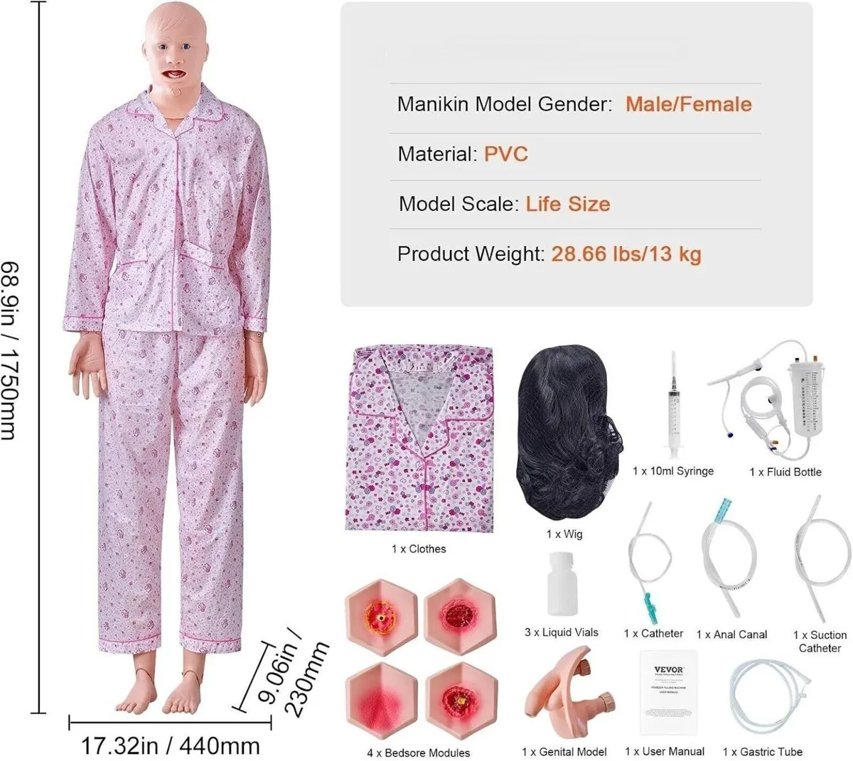 175cm Nursing Training Manikin Male & Female - Image 3