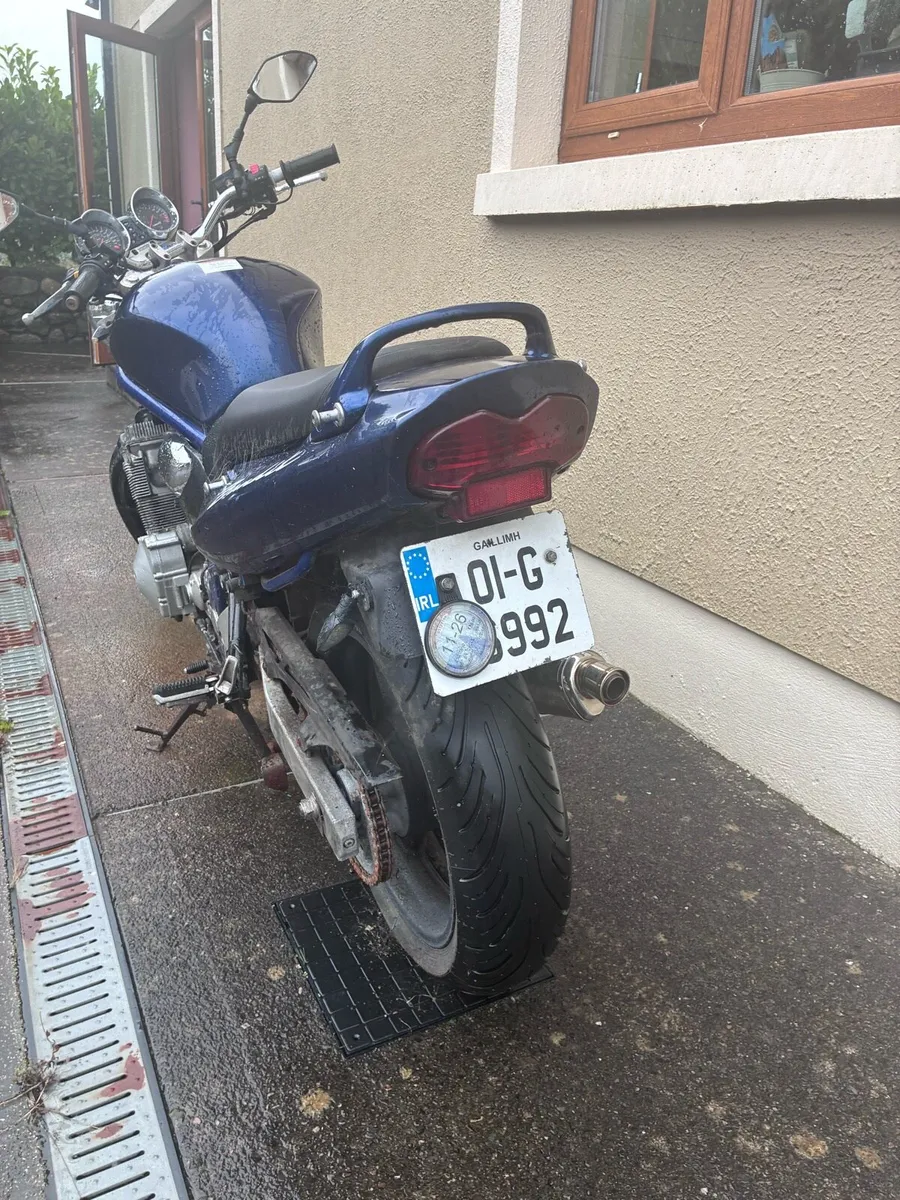 Suzuki GSF600 - Image 2