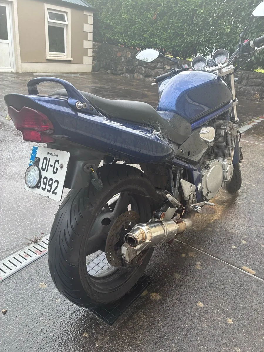 Suzuki GSF600 - Image 3