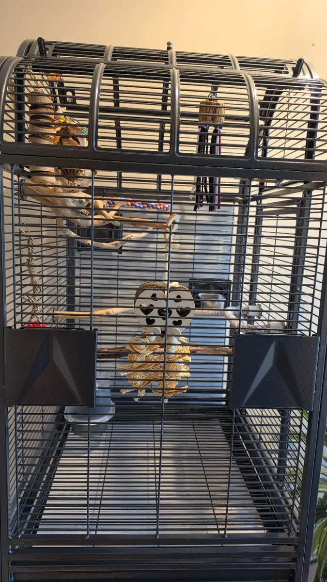 Lovely Bird/small Parrot Cage for sale - Image 2