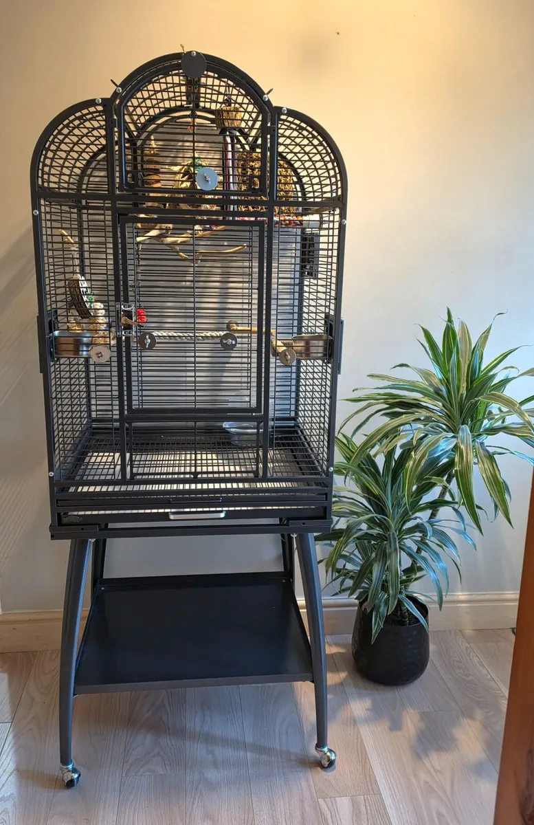 Lovely Bird/small Parrot Cage for sale - Image 1