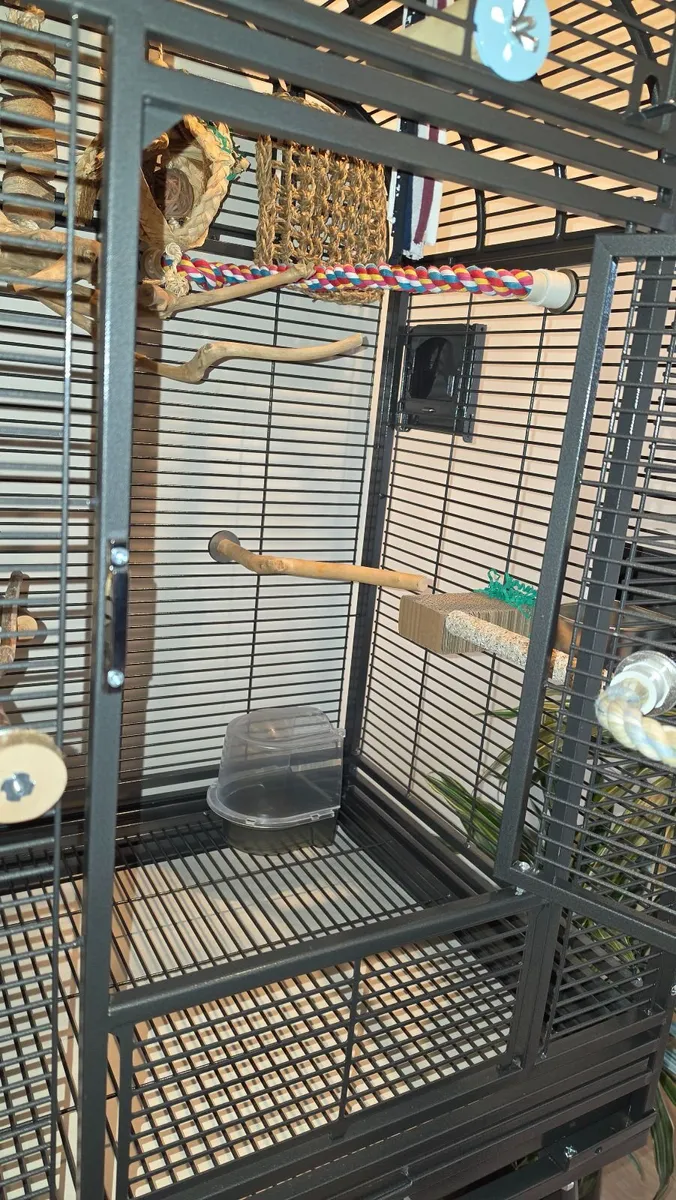 Lovely Bird/small Parrot Cage for sale - Image 4