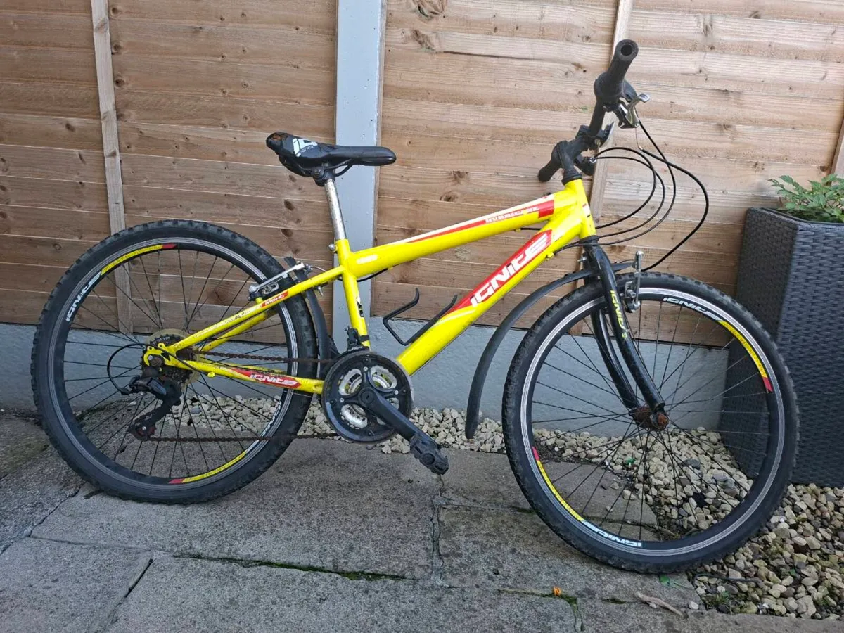Bike - Image 1