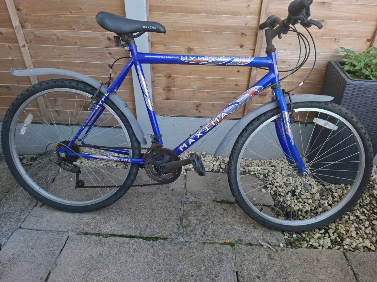 Bike - Image 2