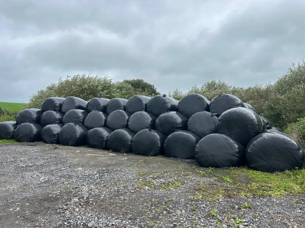 Round silage bales - Image 1
