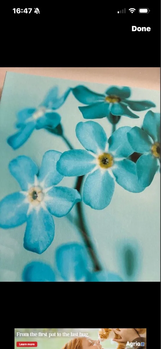 3D Floral Framed picture - Image 2