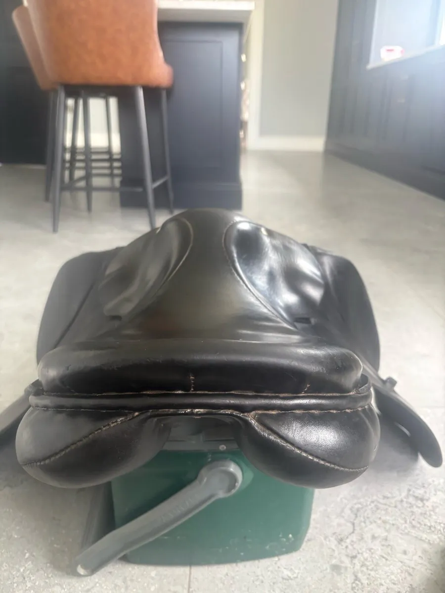 Saddle - Image 3