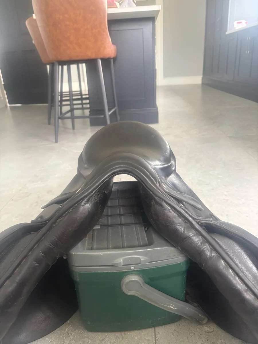 Saddle - Image 4