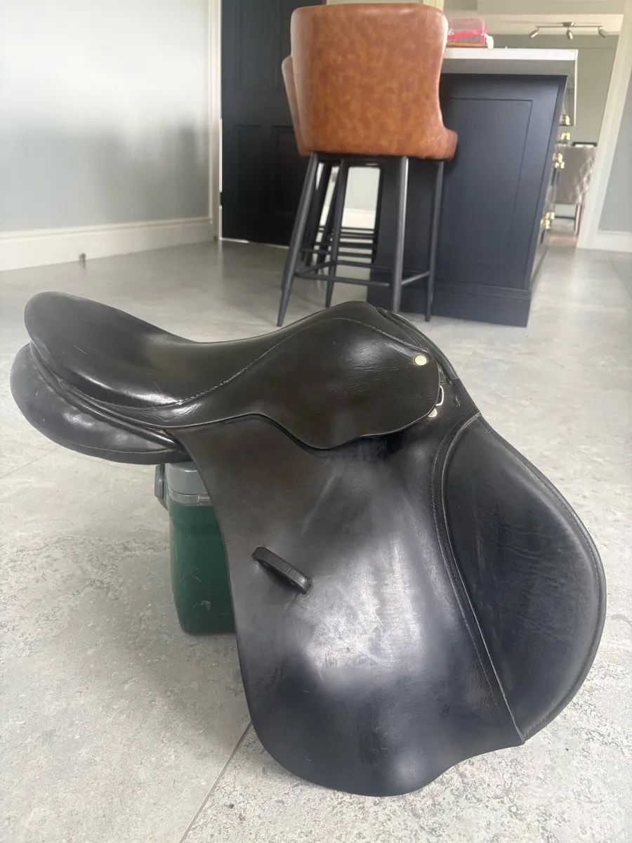 Saddle - Image 2