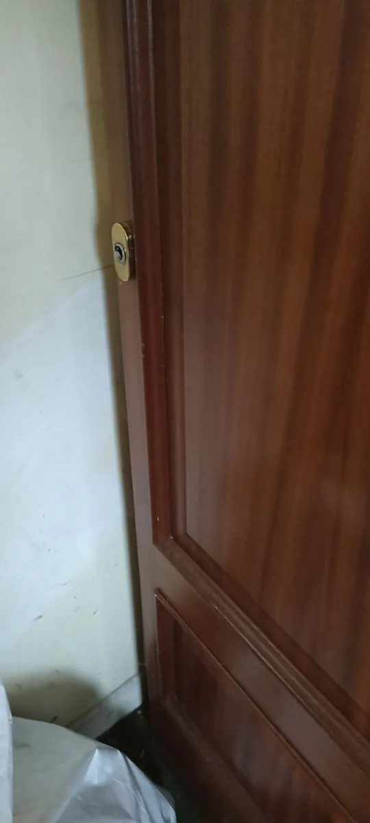 Two Panel Narrow Mahogany Veneer Door - Image 3