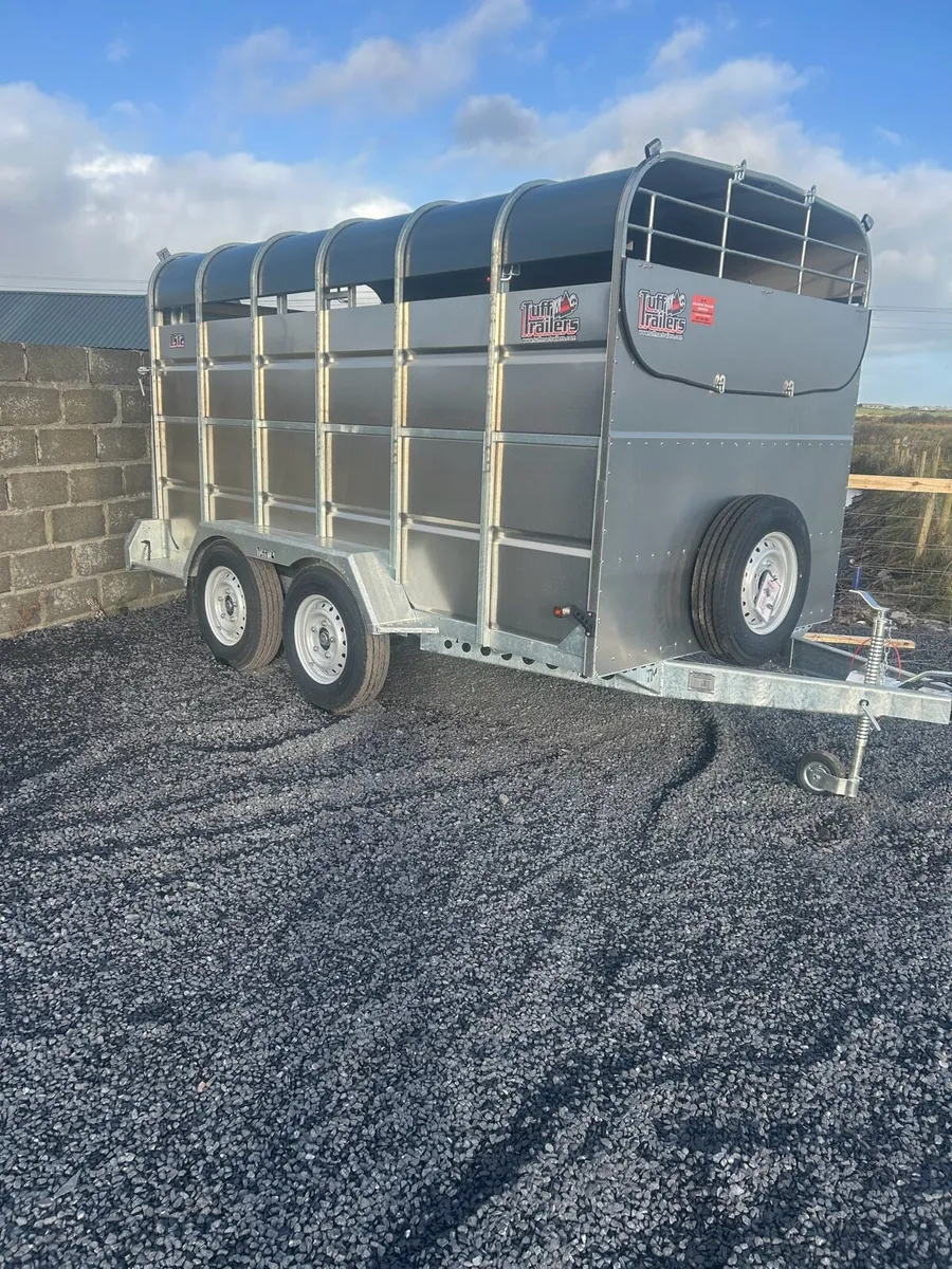 Tuff Mac 12ft Livestock Trailer - Image 1
