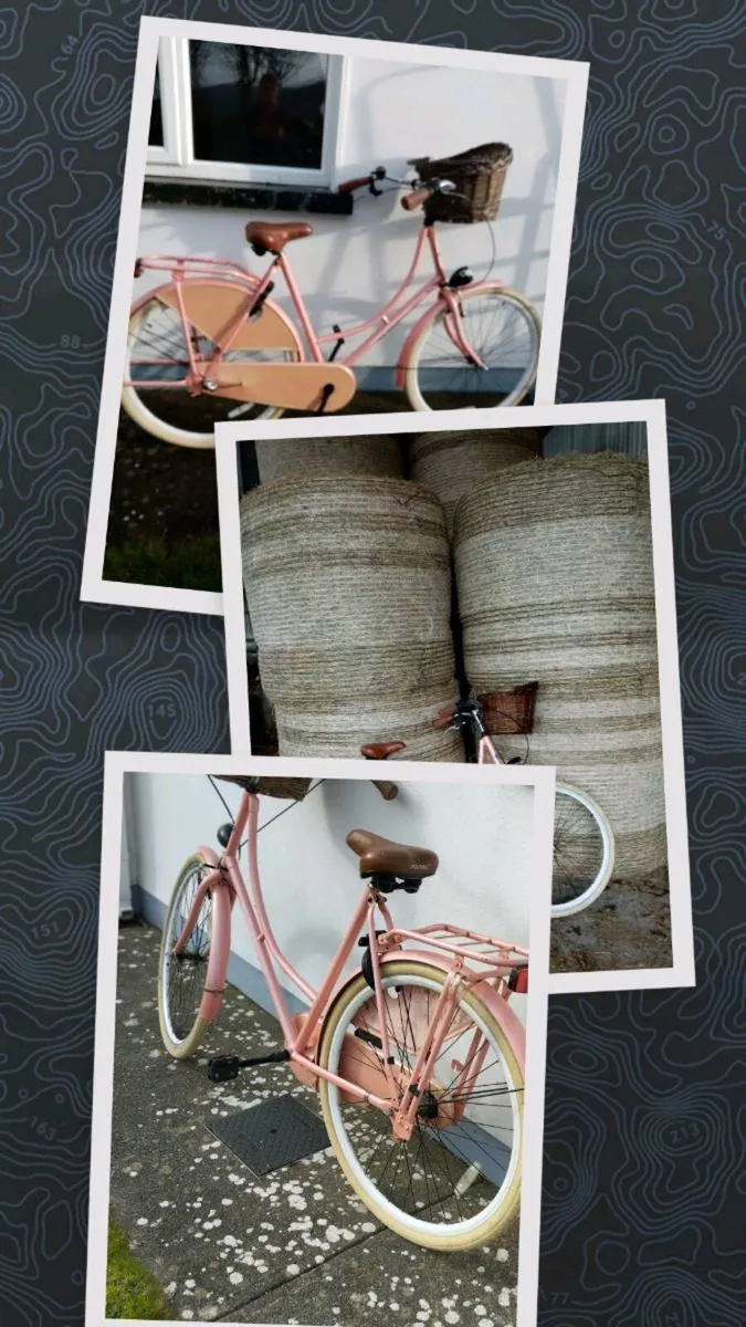 Bicycle  Pink Ladies Popal Dutch - Image 3