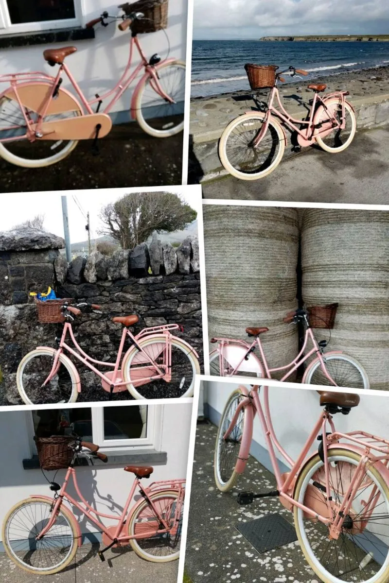 Bicycle  Pink Ladies Popal Dutch - Image 4