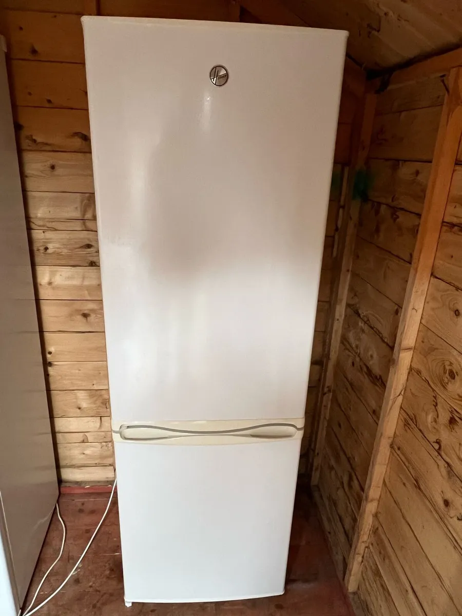 Fridge freezer - Image 1