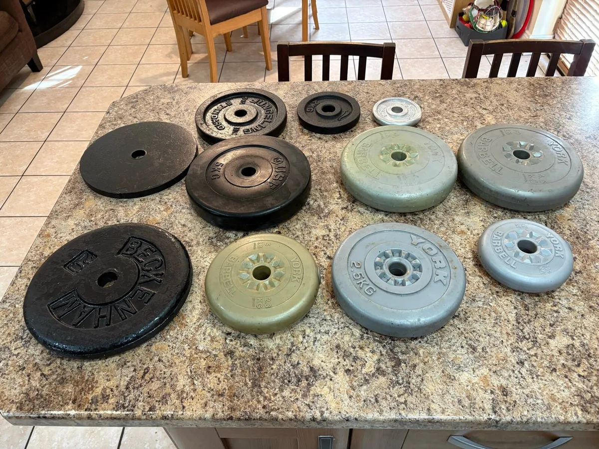 GYM WEIGHTLIFTING PLATES, VARIOUS WEIGHTS.