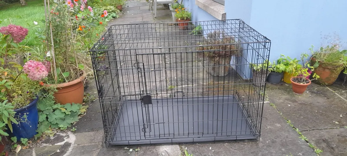 Metal Dog crates - Image 2