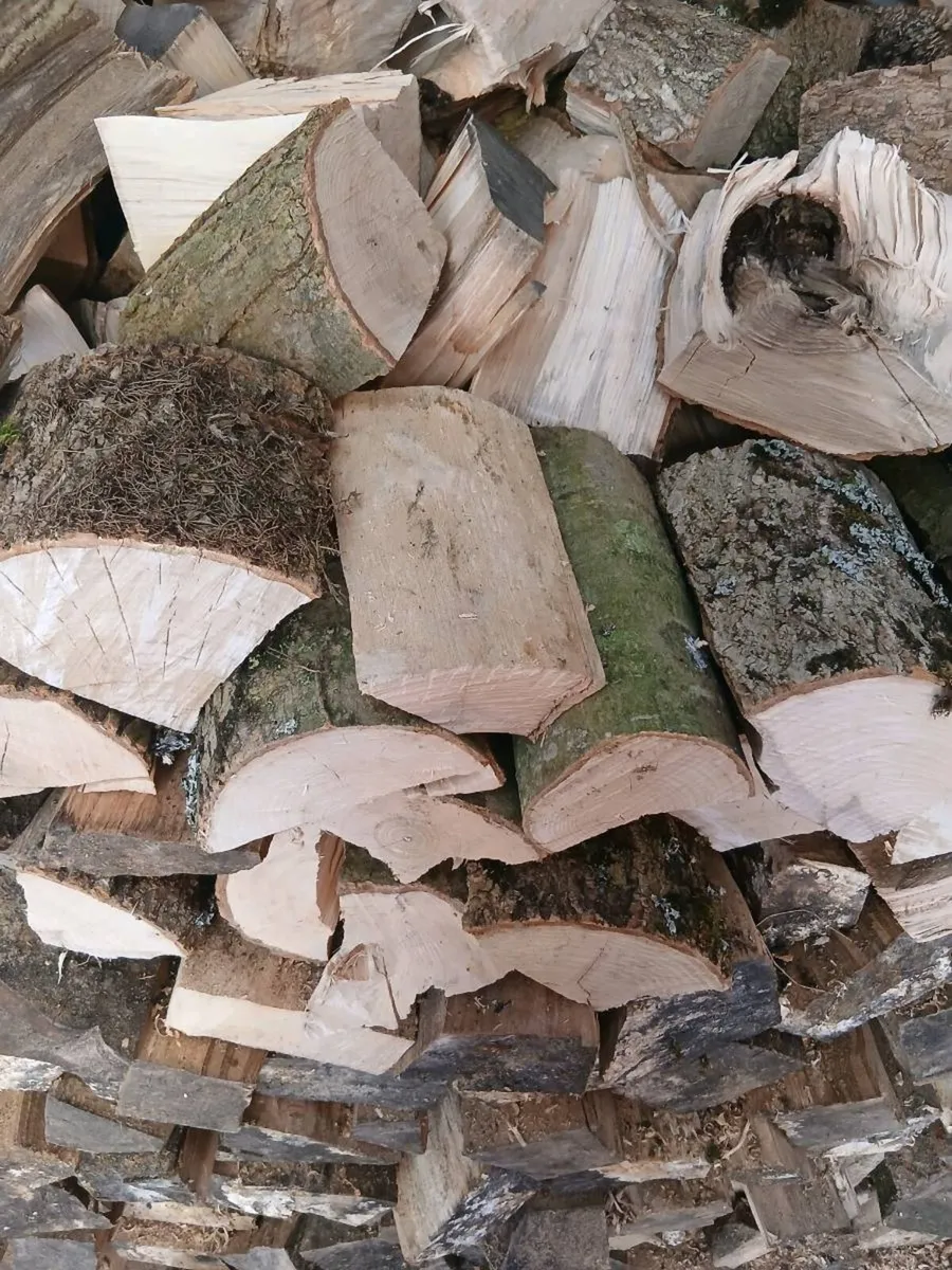 Firewood for sale - Image 2