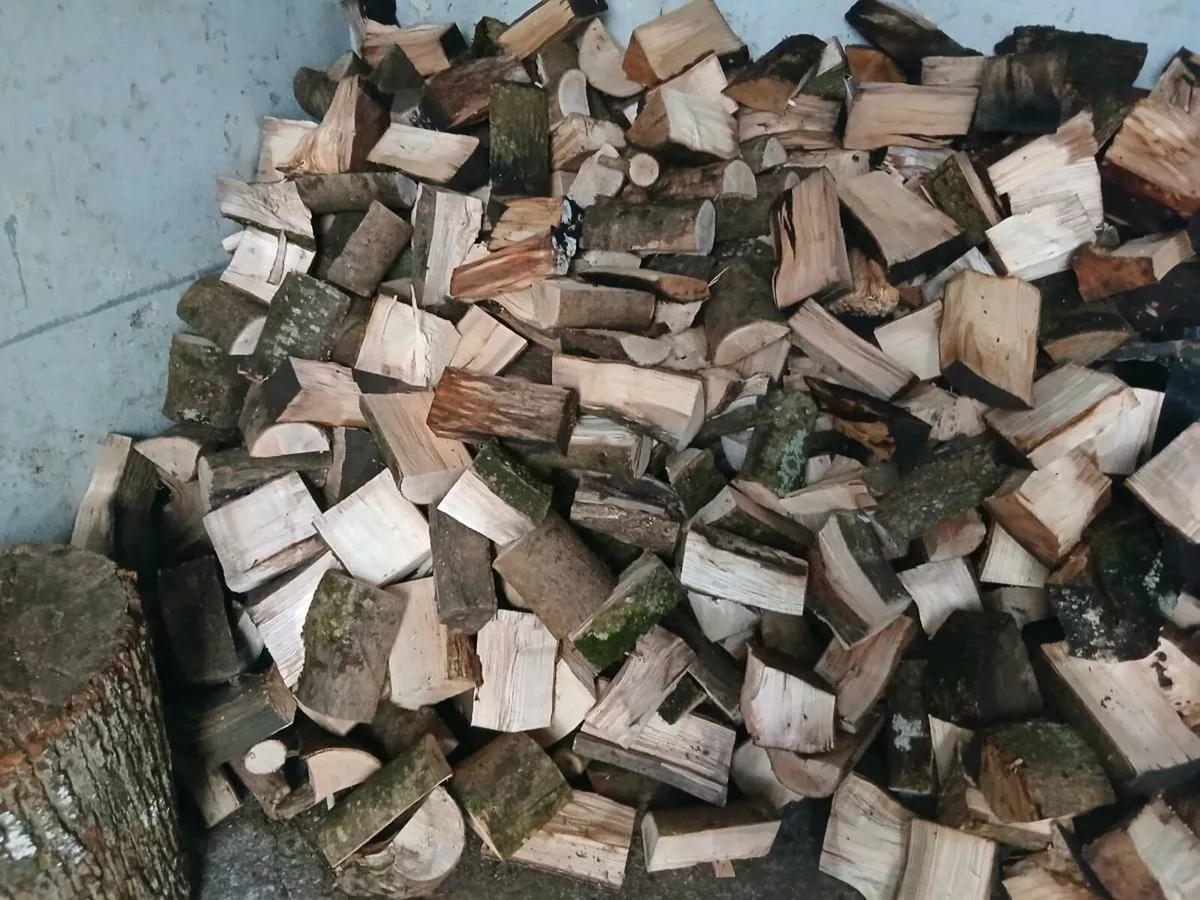 Firewood for sale - Image 4