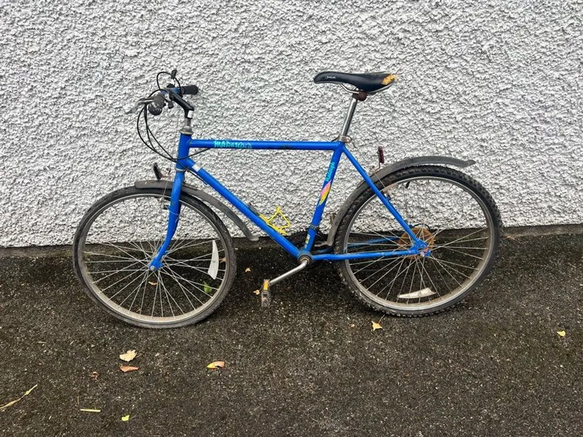 Bike Raleigh - Image 1