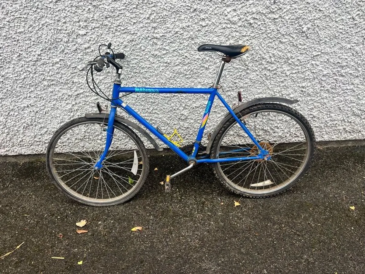 Bike Raleigh - Image 2