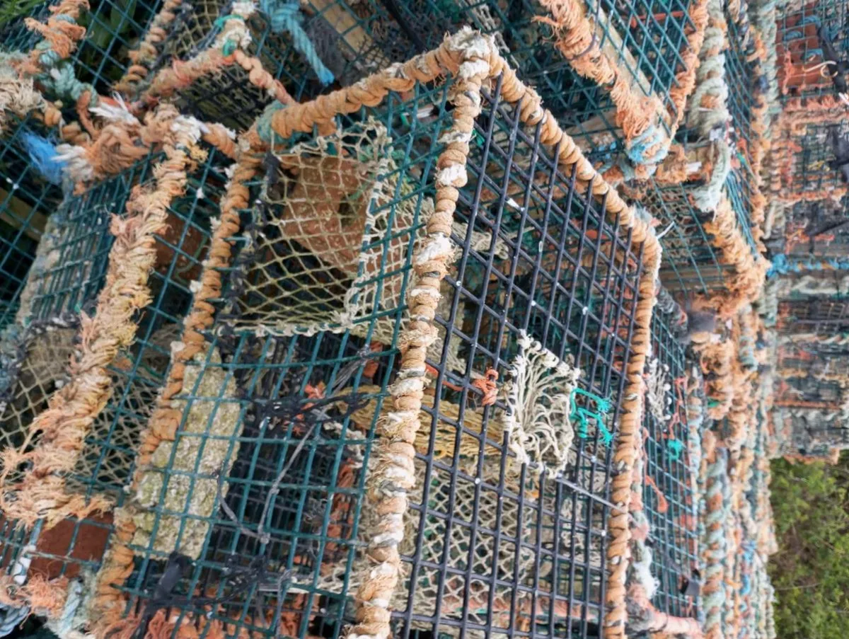 Lobster Pots - Image 3