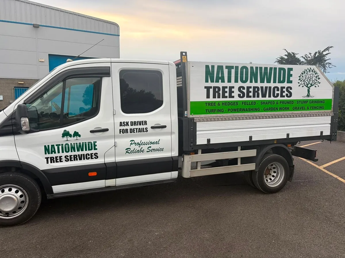Ford transit pick - Image 3