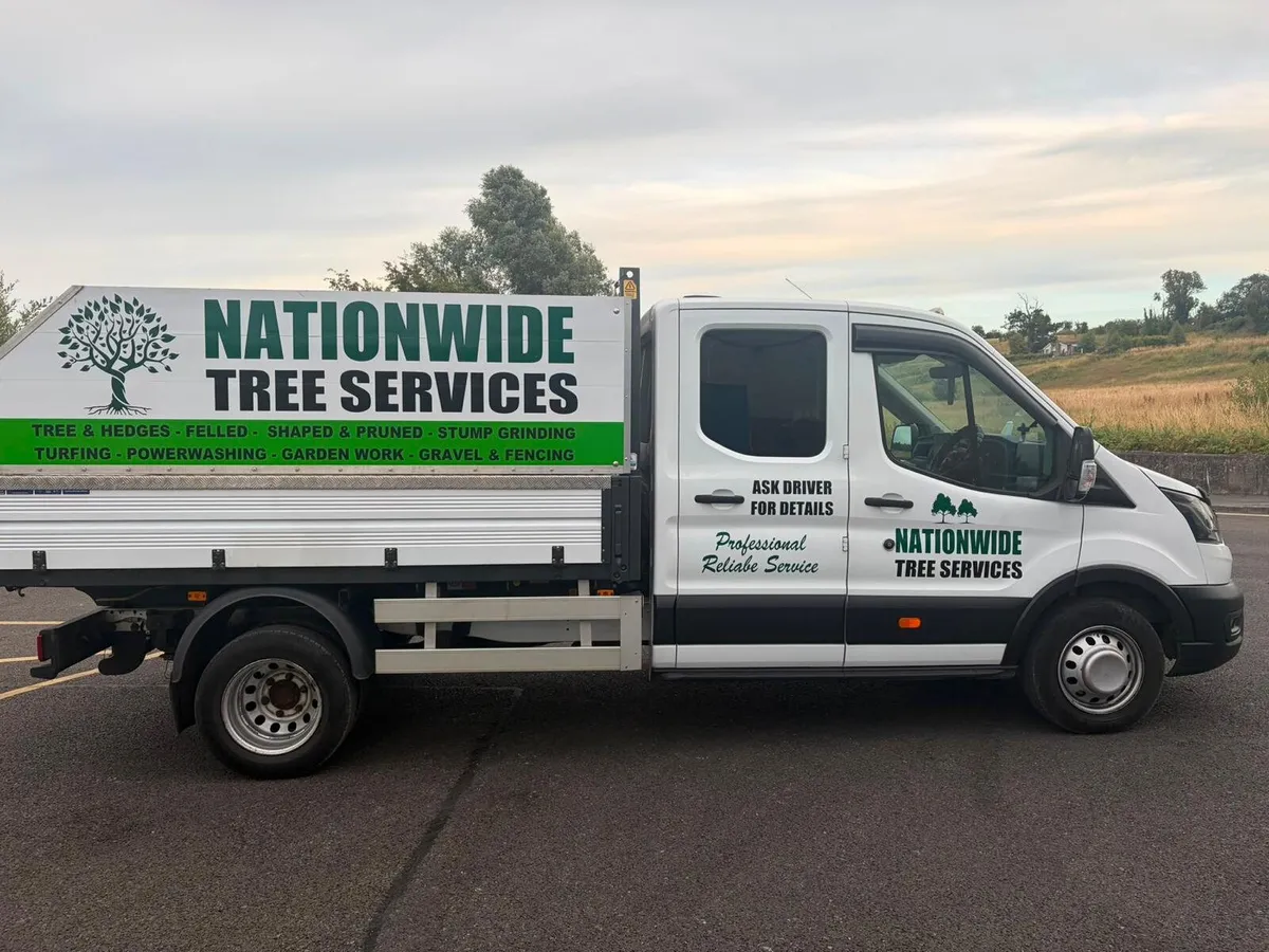 Ford transit pick - Image 2