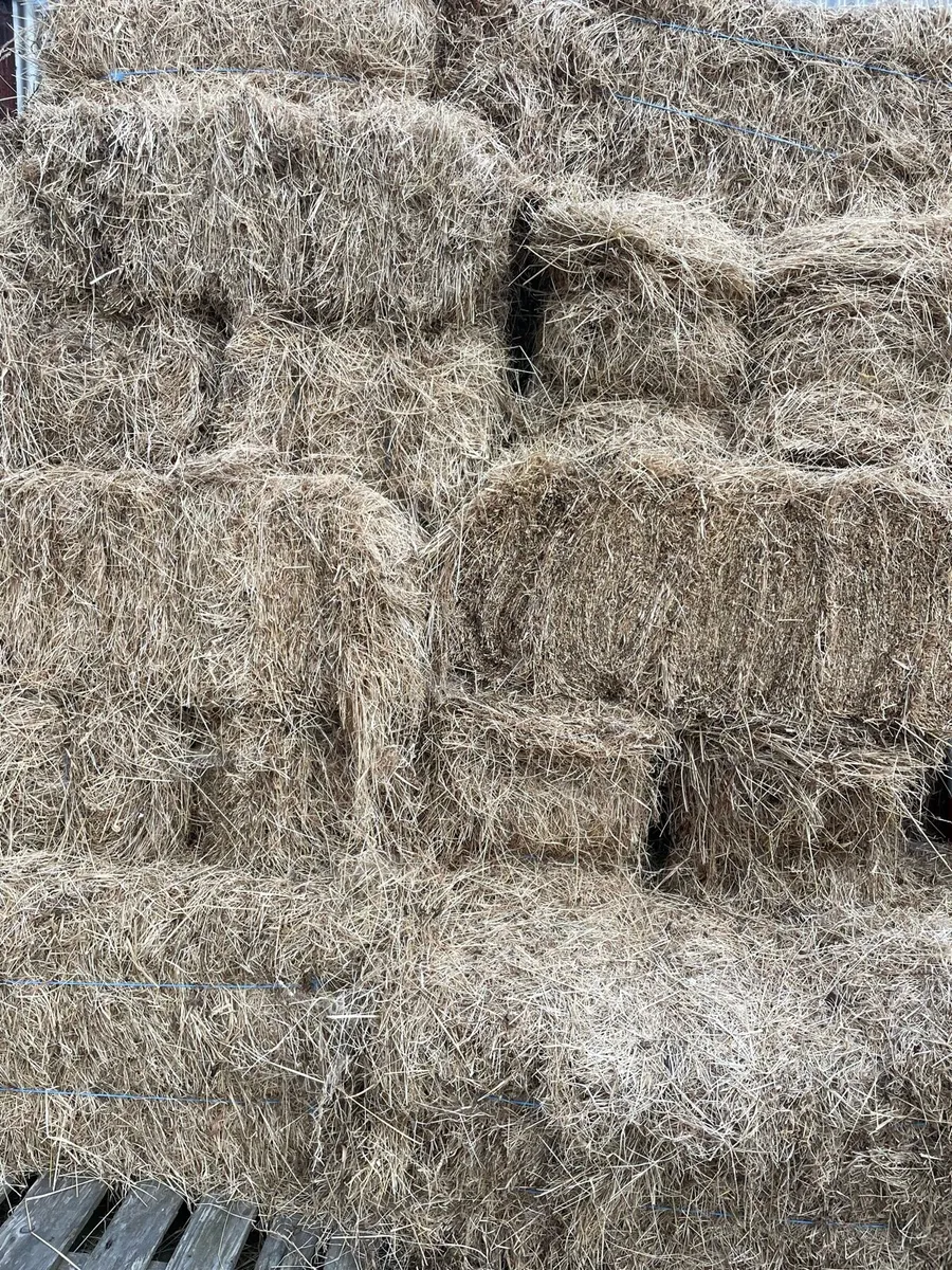 Organic Hay
