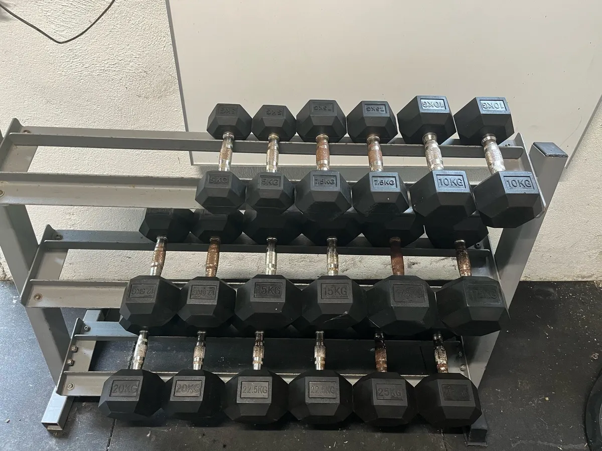 Dumbbells and weight plates - Image 1