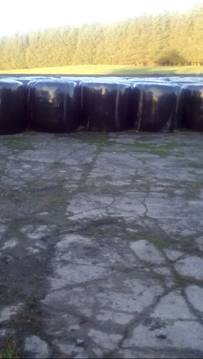 Round Bale Silage