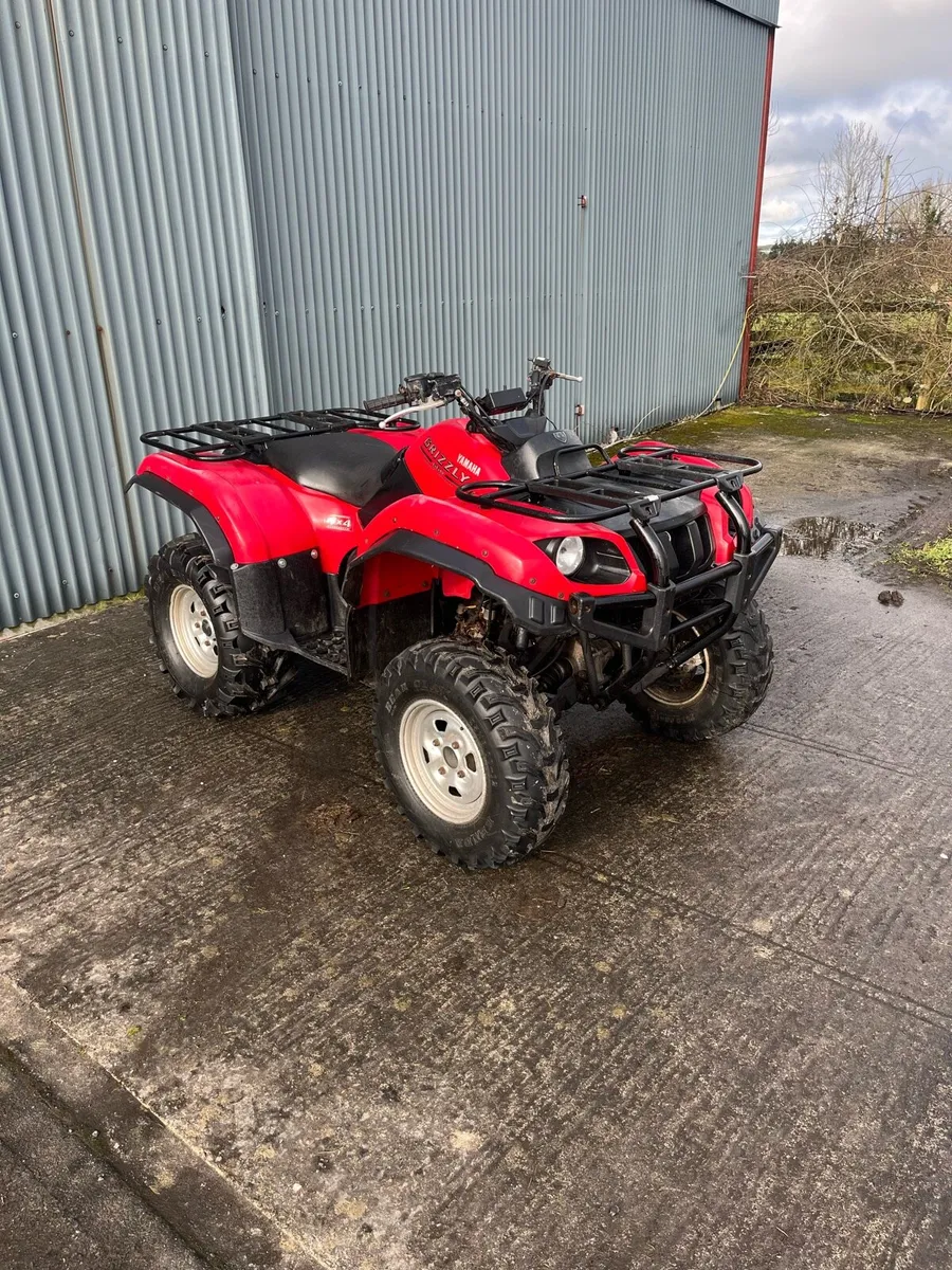 Yamaha Grizzly 660 - Image 2