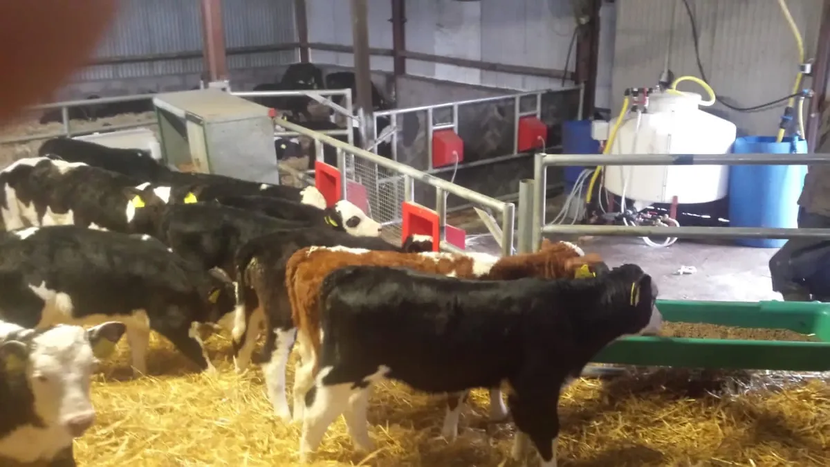 Power Automatic Calf Feeder PLS - Image 4