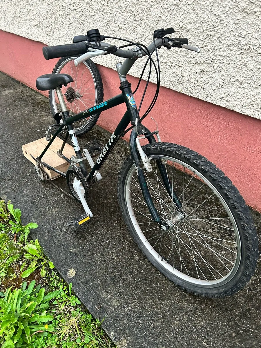 Bike - Image 1