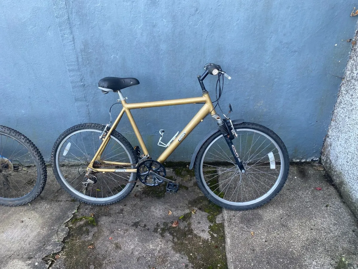 Mountain Bike - Image 2