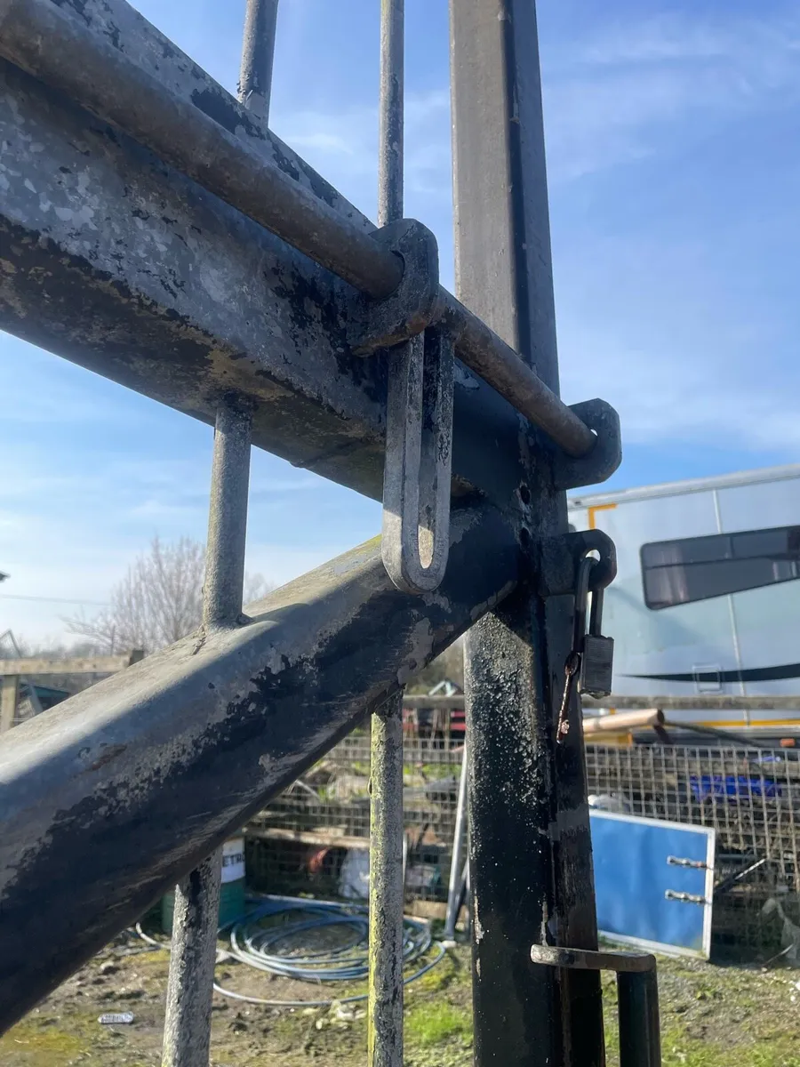Super strong Security gates - Image 4