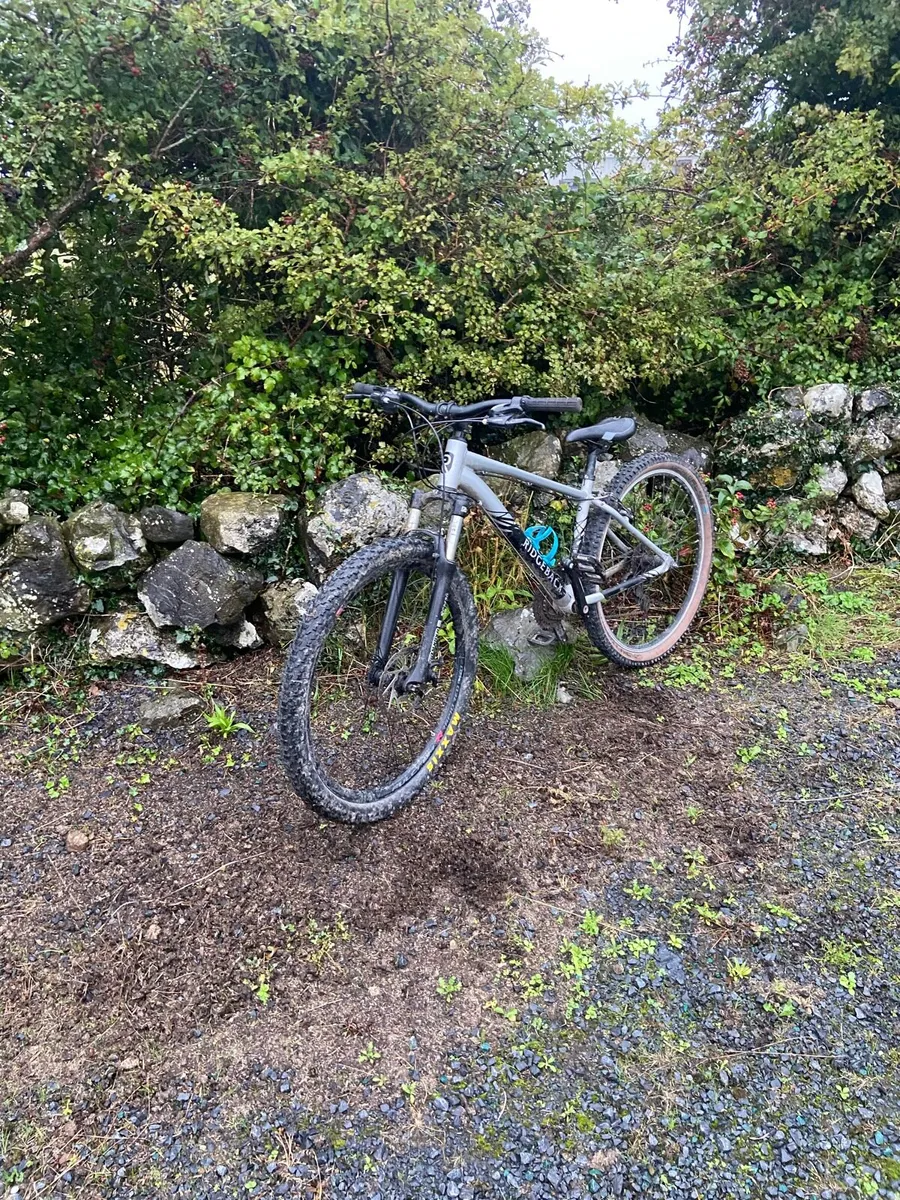 bike - Image 1