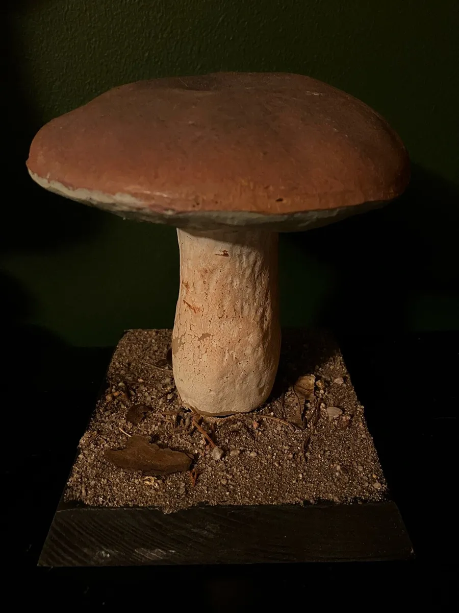Vintage pharmacy botanical mushroom teaching model - Image 4