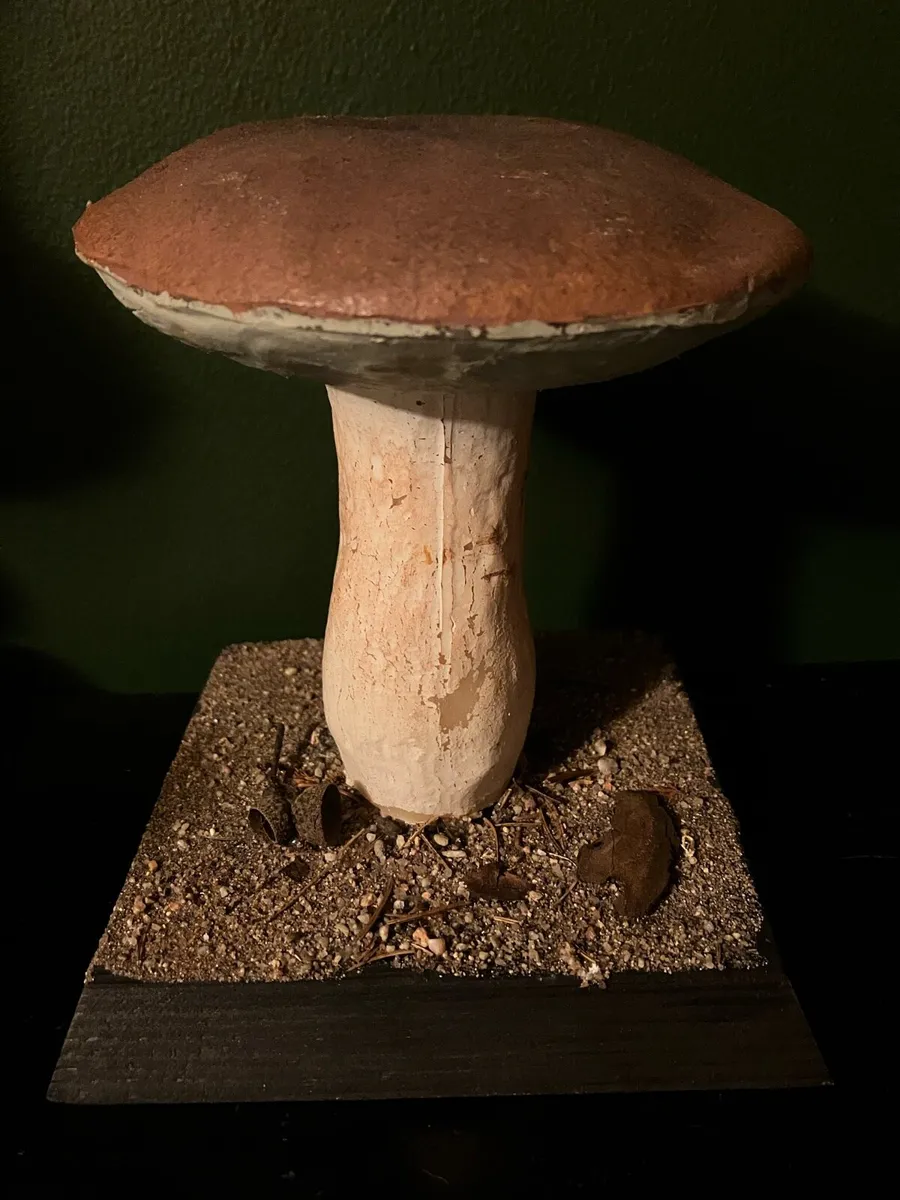 Vintage pharmacy botanical mushroom teaching model - Image 1