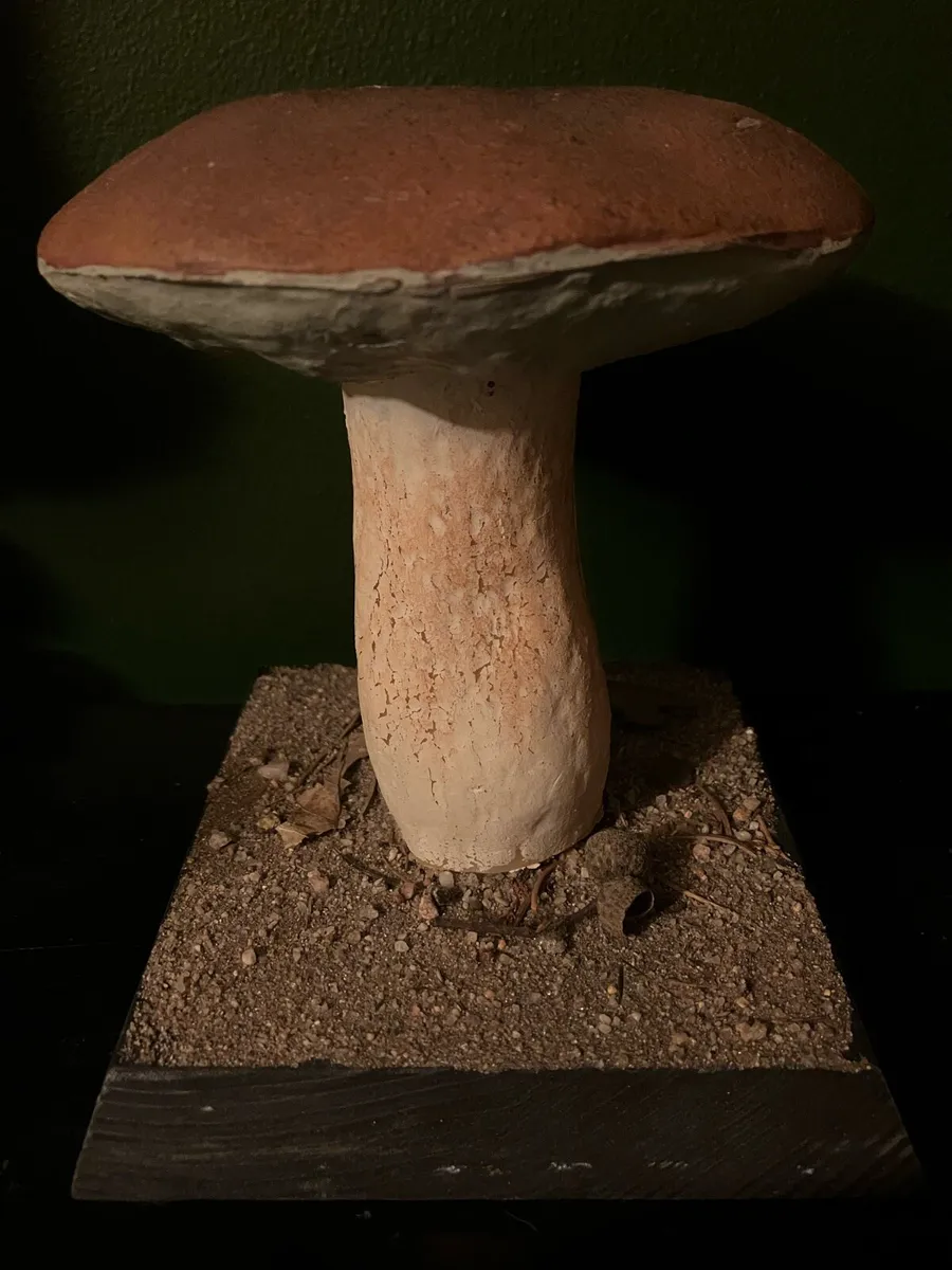 Vintage pharmacy botanical mushroom teaching model - Image 2