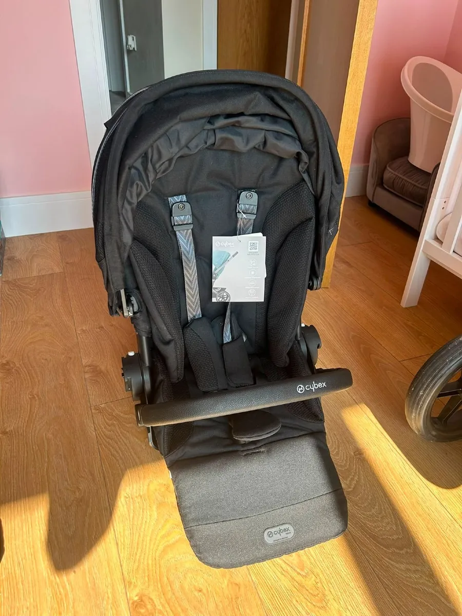 Buggy - Image 4