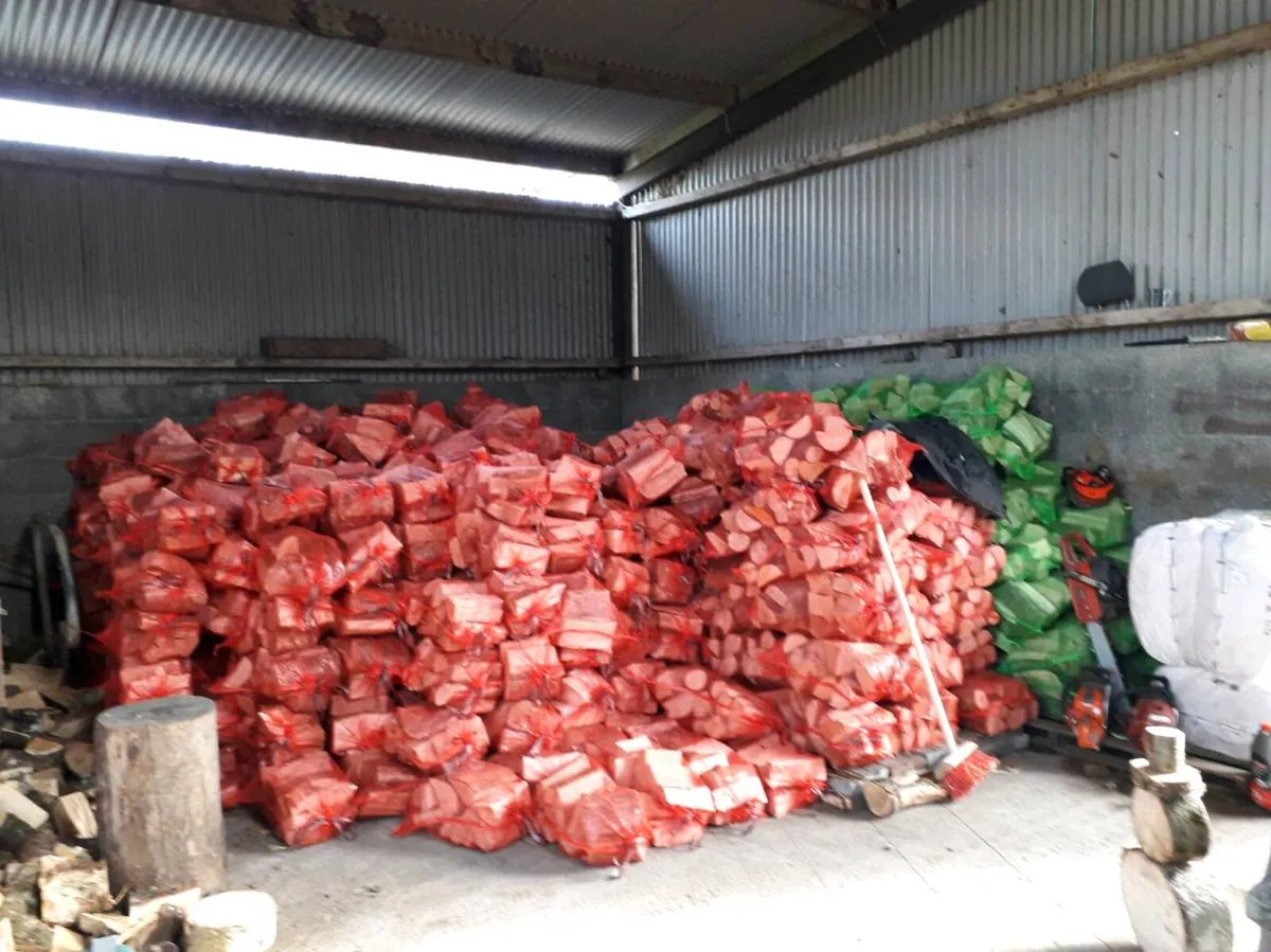Dry Firewood - Image 2
