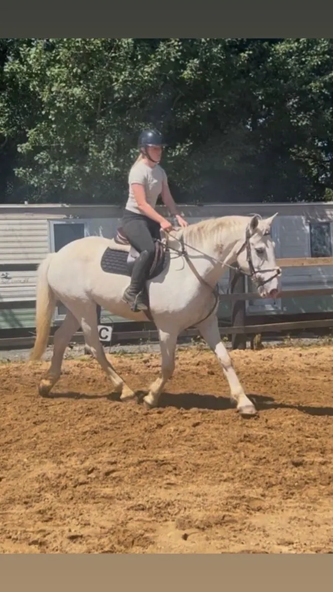 Hunting horse - Image 1
