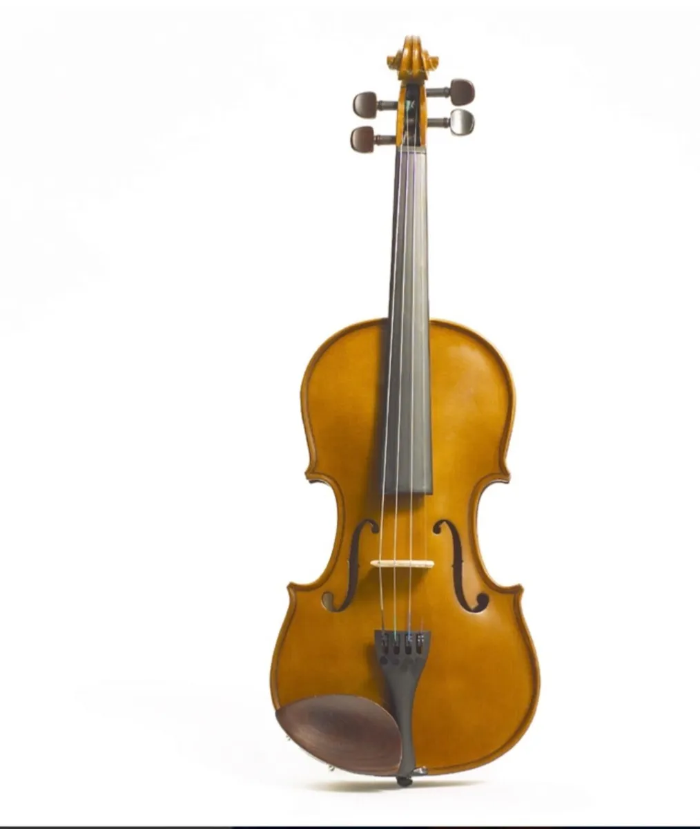 Violin and case kit for sale - Image 2