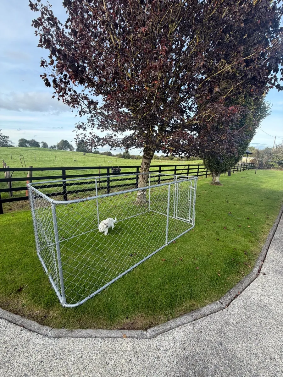 Dog pen/run - Image 2