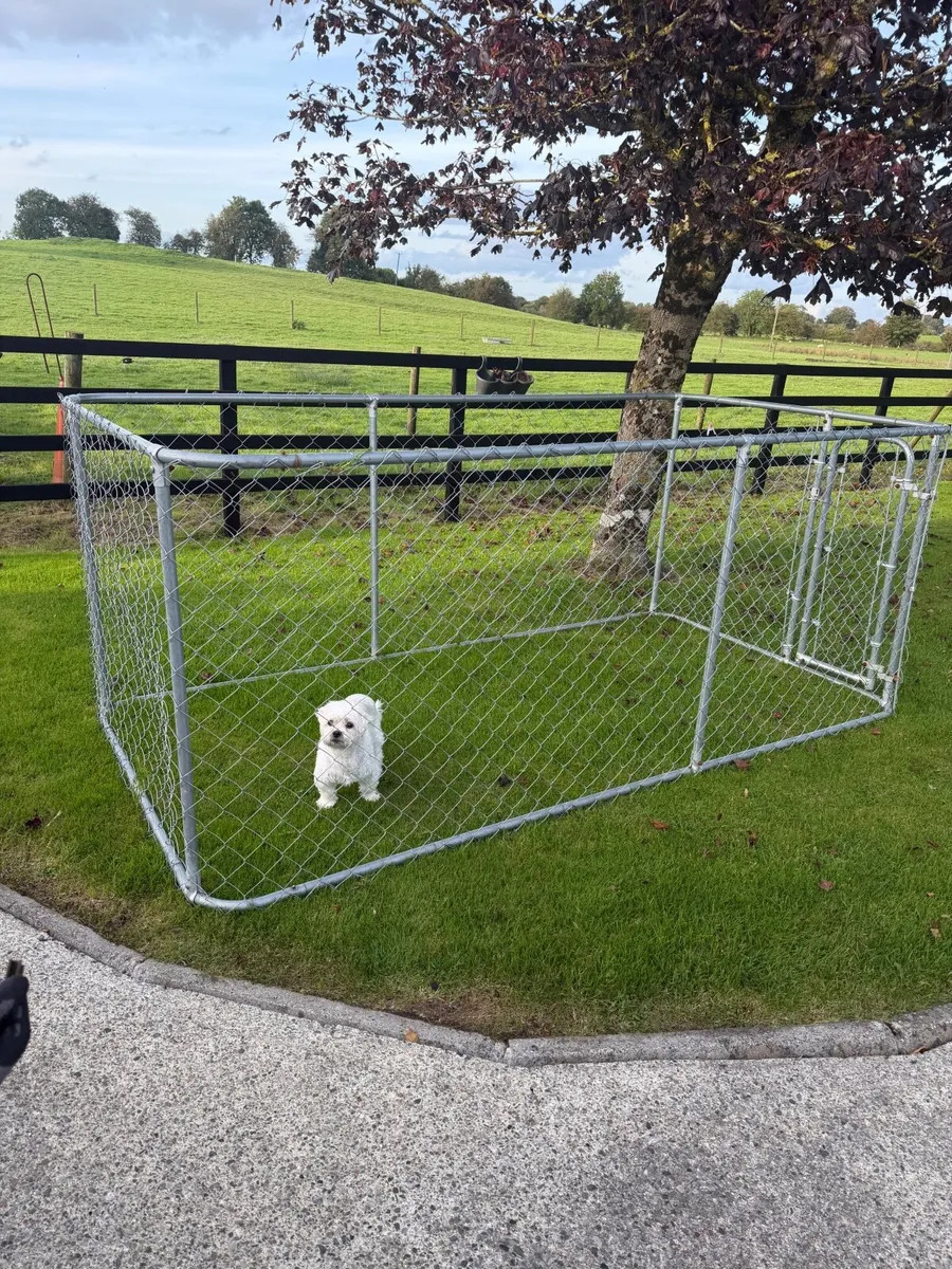 Dog pen/run - Image 3