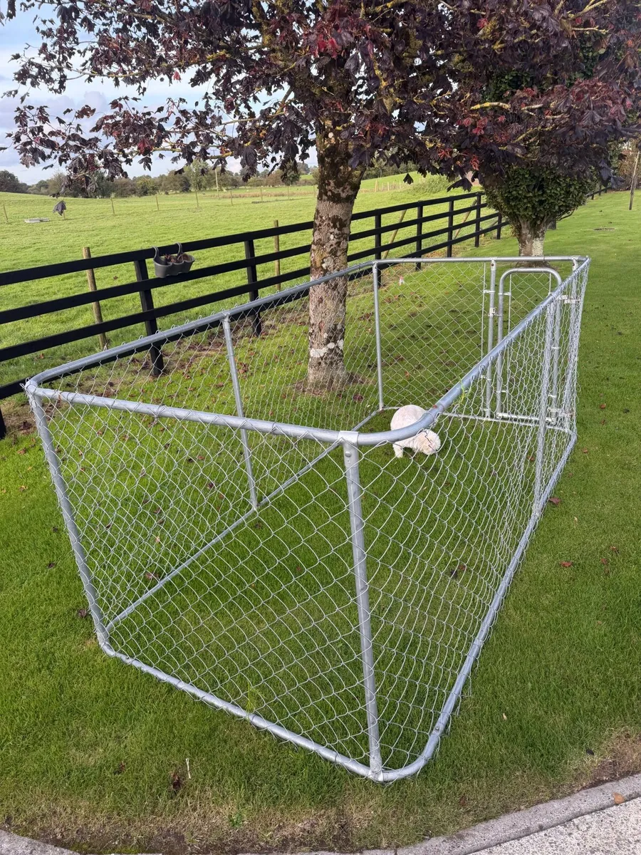 Dog pen/run - Image 4