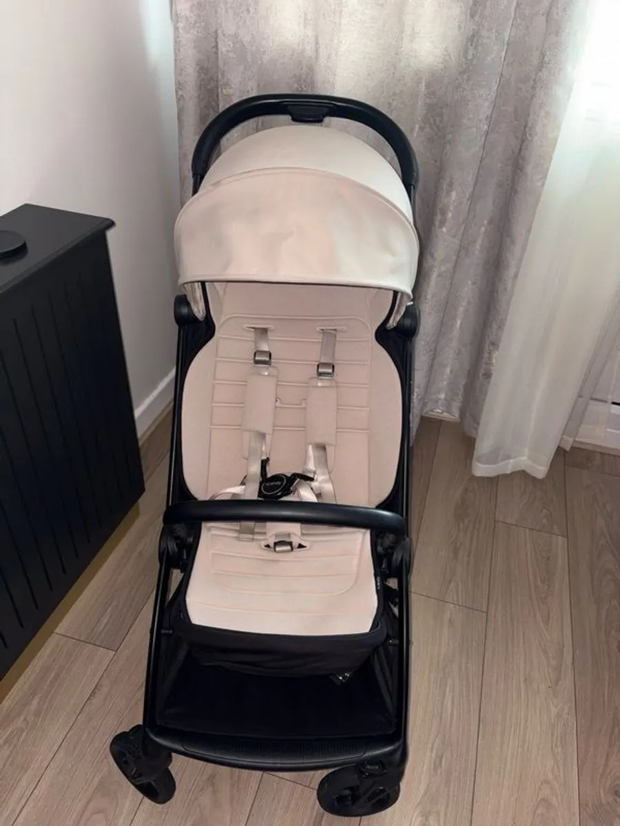 buggy - Image 2