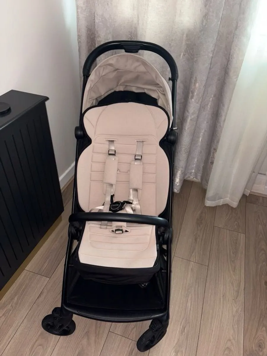 buggy - Image 3