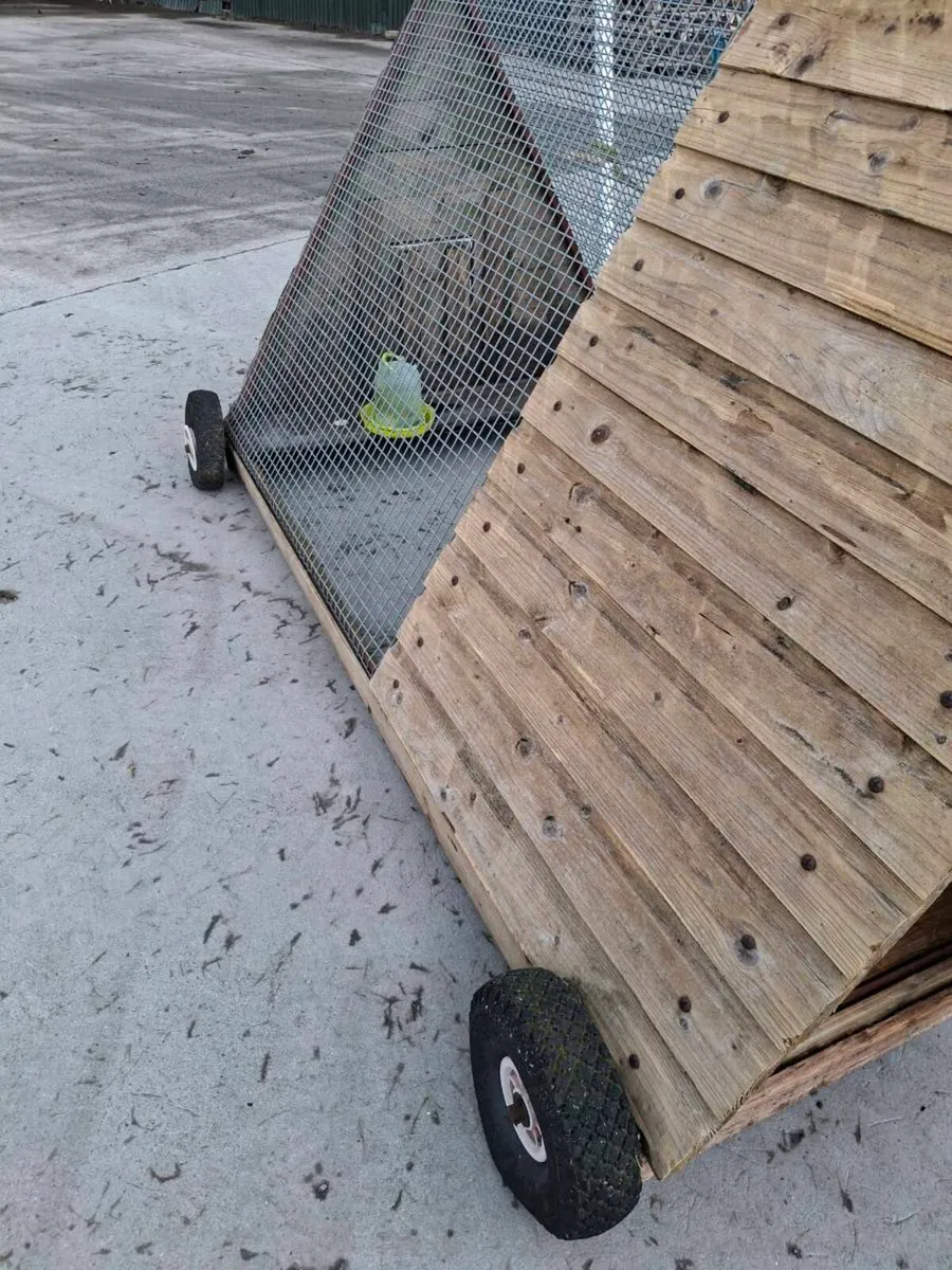 Chicken coop on wheels - Image 4