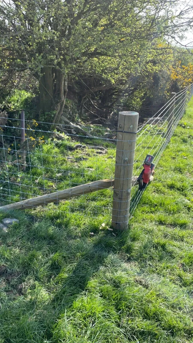 Fencing services - Image 3